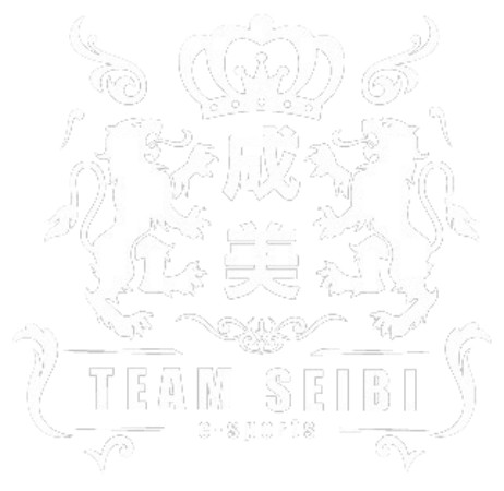 TEAM SEIBI ロゴ