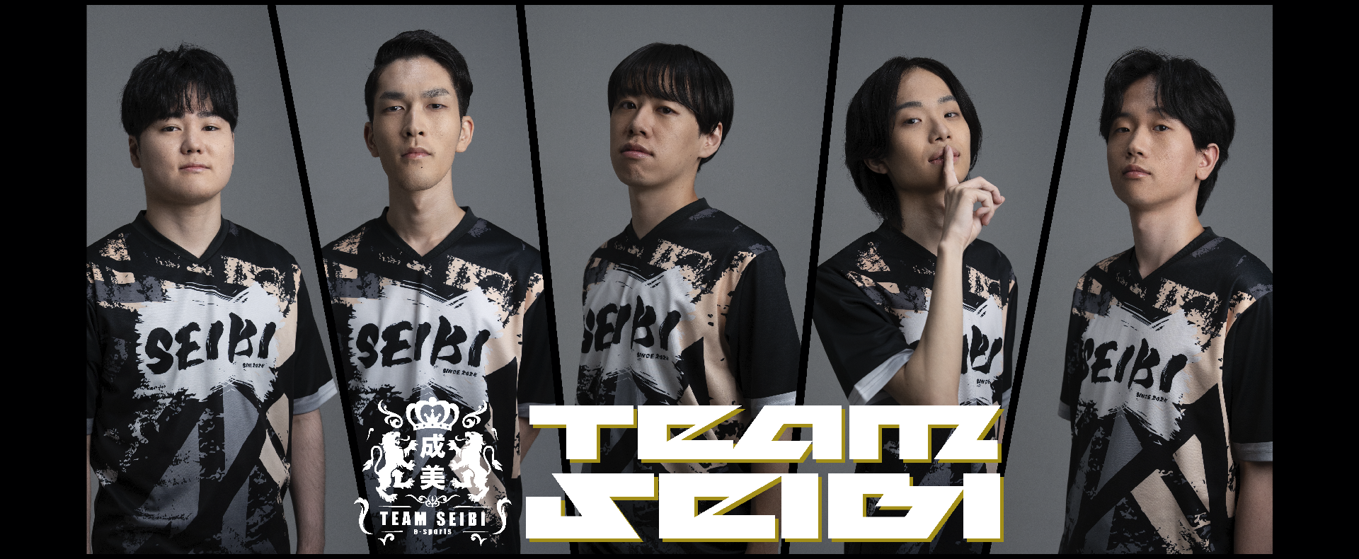 TEAM SEIBI e-sports　メイン